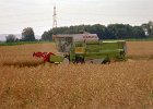 Claas Drescher 06